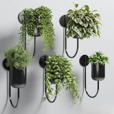 绿植墙盆栽